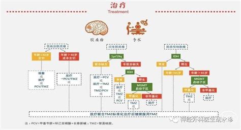 脑胶质瘤“综合诊断” 脑医汇 神外资讯 神介资讯