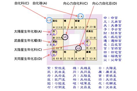 科技紫微命盤 Julie Parker