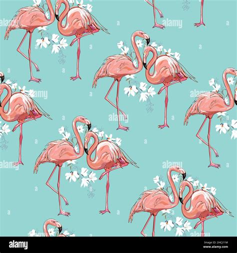 Flamingo Pattern Hi Res Stock Photography And Images Alamy