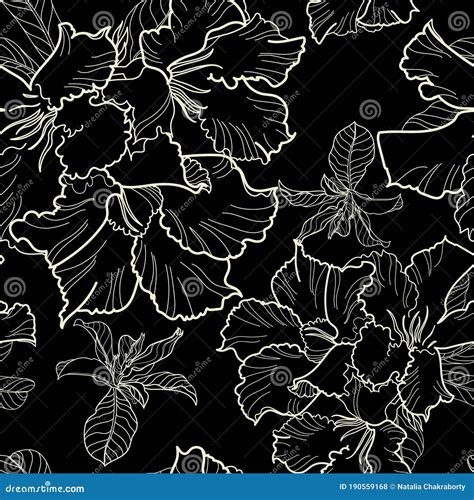 Vector Freehand Drawing Tits Sparrows And Bullfinches On Branches