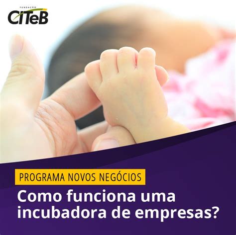 Como Funciona Uma Incubadora De Empresas