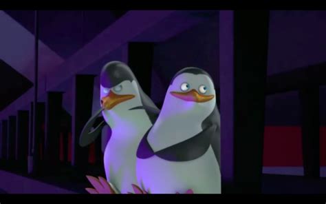 Kowalski You Know Better Than To Chew Your Flippers XD Penguins