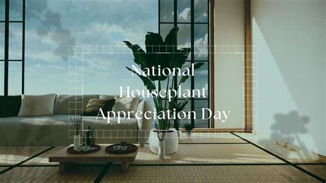 National Houseplant Appreciation Day: All the Things You Must Do ...