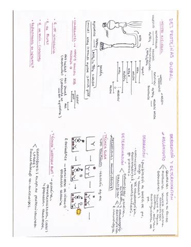 Analisis De Proteinas Pdf