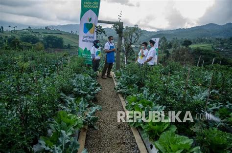 Ridwan Kamil Targetkan Cetak 100 Ribu Petani Milenial Republika Online