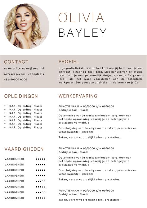 Cv Voorbeeld Word Eenvoudig Een Professioneel Cv Maken Gratis