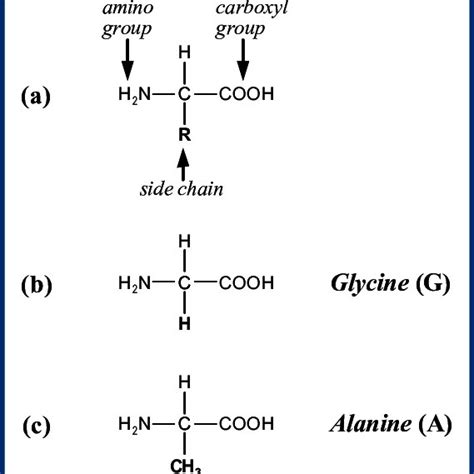 Glycine Amino Acid Structure