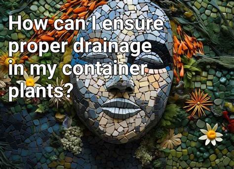 How Can I Ensure Proper Drainage In My Container Plants Gardening