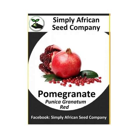 Pomegranate Red (Punica Granatum) 15's - Simply African Seed Company