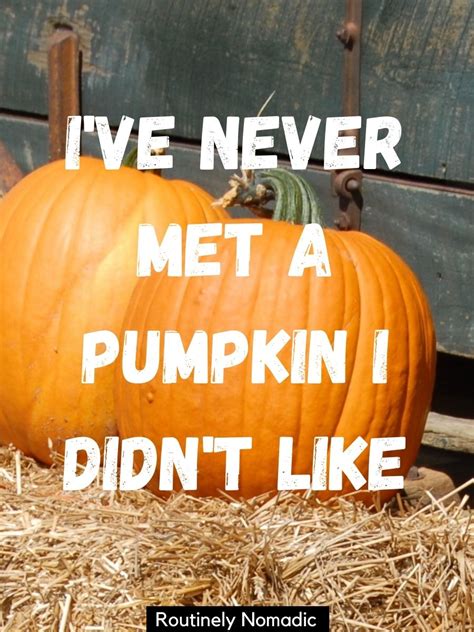 100 Funny Halloween Captions To Get Spooky With Routinely Nomadic