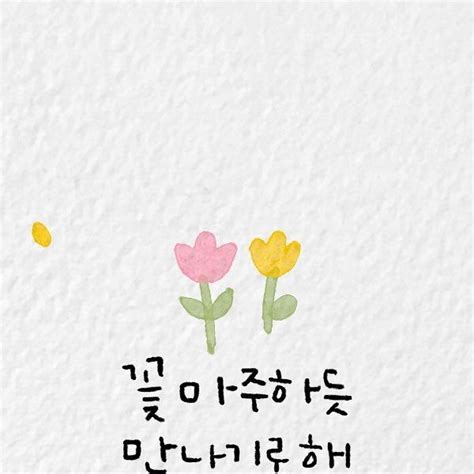 노아캘리 On Instagram 꽃 마주하듯 만나기로해🌷 꽃 만나자 봄 캘리그라피 손글씨 문구 꽃 따뜻한 문구