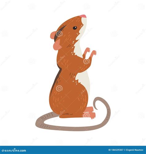 Mouse Standing On Its Hind Legs Full Length Turned Sideways Cartoon