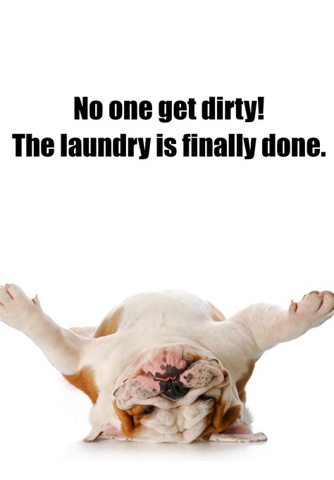 40 Funny Laundry Memes For Those Who Hate Doing The Wash Artofit