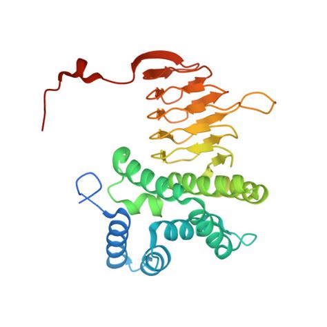 Rcsb Pdb Wye Crystal Structure Of Neisseria Gonorrhoeae Serine