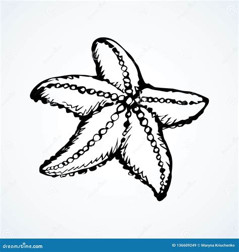 Cute Starfish Drawing