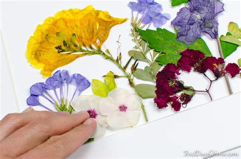 How To Make Diy Pressed Flower Art The Easy Way