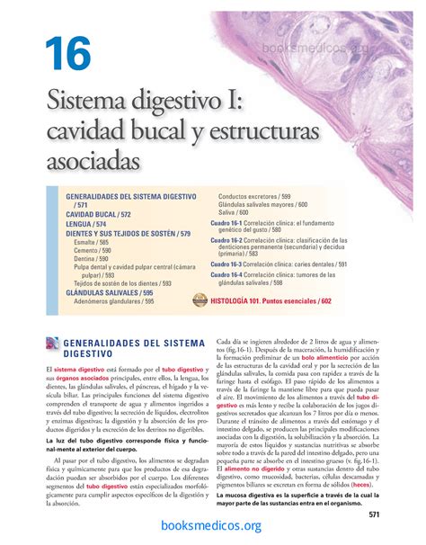 Histologia De Ross Sistema Digestivo Cap Generalidades Del