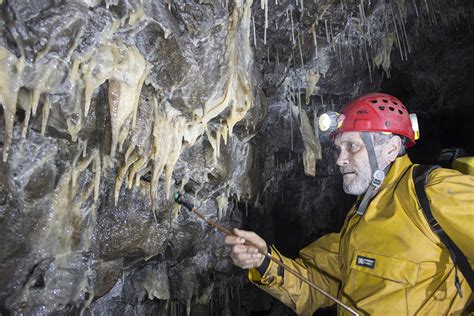 Cncc Cave Conservation Projects