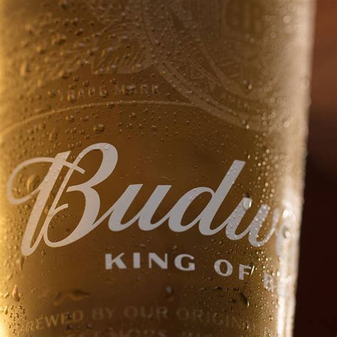 Anheuser Busch InBev Reports Q2 Earnings Shakes Up Organizational