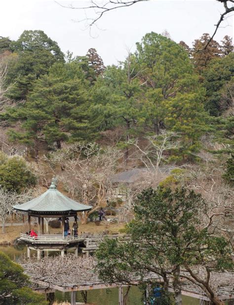 Discover the Historical Temple Narita-san, Close to the Narita Airport