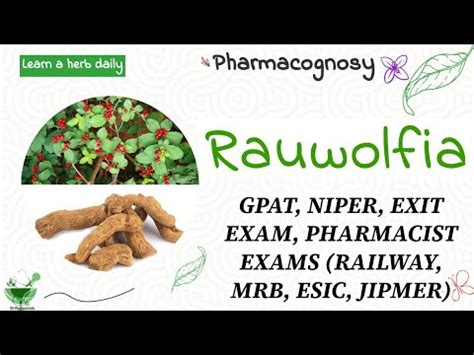 Rauwolfia Learn A Drug Daily Pharmacognosy GPAT NIPER RAILWAY