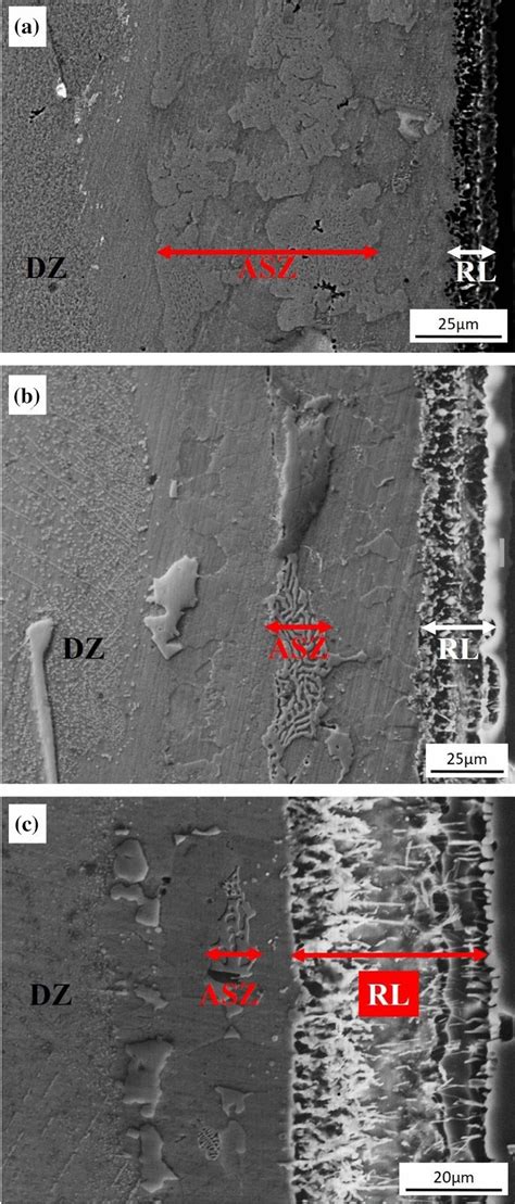 Sem Micrographs Of The Tial Nisib In Brazed Joints Of Three Lmp