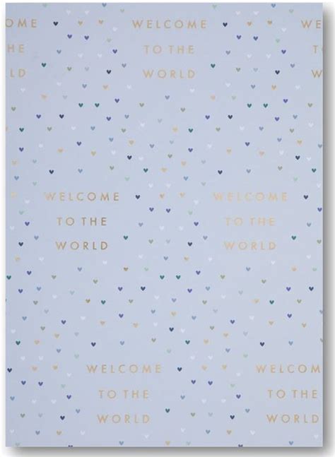Folded Wrapping Paper Welcome To The World Blue Card And Caboodle