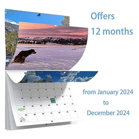 Dogs Pooping in Beautiful Places Calendar 2024, Dogs Pooping Calendar ...