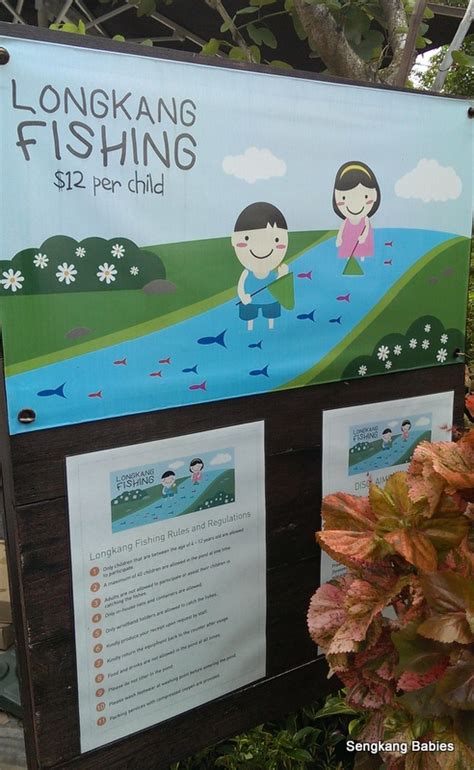 Longkang Fishing Singapore Sengkang Babies