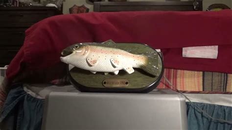 Rocky The Singing Rainbow Trout Version 2 Youtube