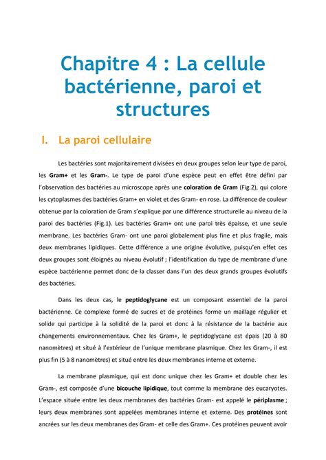 SOLUTION La Cellule Bact Rienne Paroi Et Structures Studypool