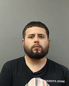 Martin Perez Chicago Mugshots Zone