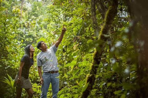 Emprendedores Por Naturaleza Impulsa Tu Negocio De Forma Sostenible