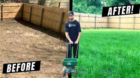 How To Grow A Lawn From Scratch Using Grass Seed At Improvements