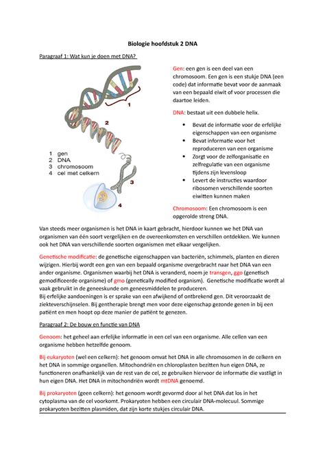 Biologie Hoofdstuk Dna Een Gen Is Een Stukje Dna Een Code Dat