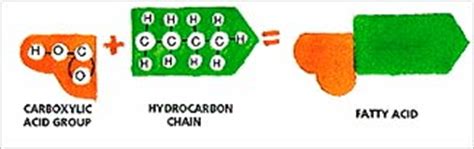 fats compoundstructure  fatsdetergent fatsfats detergent