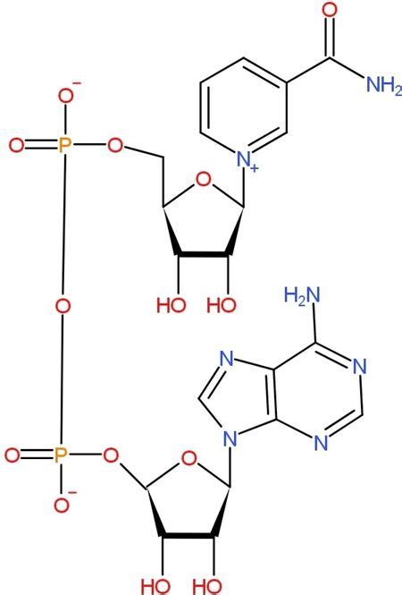 Nad Structure