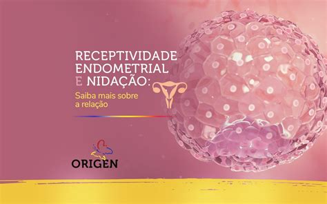 Receptividade Endometrial E Nida O Saiba Mais Sobre A Rela O