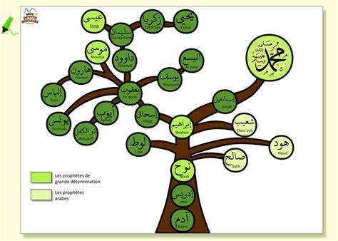 Activit S Manuelles Pour Nos Petits Musulmans Arbre Des Proph Tes