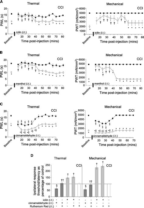 Analgesia Mediated By The Trpm8 Cold Receptor In Chronic Neuropathic