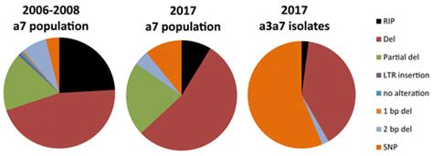 Twenty Years Of Leptosphaeria Maculans Population Survey In France