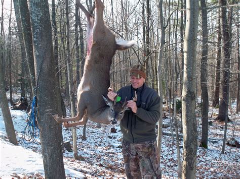 Guided Adirondack Whitetail Deer Hunts In New York