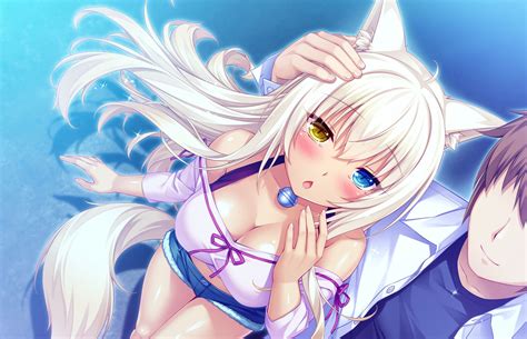 Papel De Parede Hd Para Desktop Anime Baunilha Nekopara Nekopara