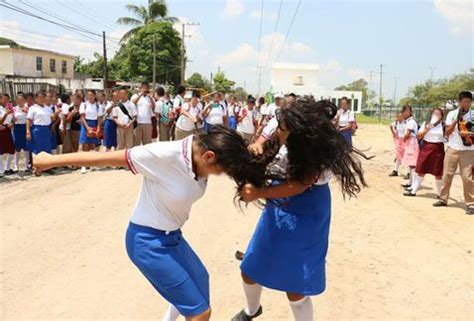 QUE SON LOS PLEITOS ESCOLARES