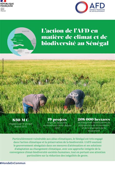 L AFD et le climat et la biodiversité au Sénégal AFD Agence