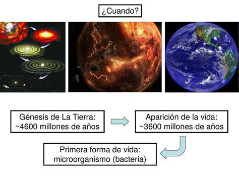 microbiología uDocz