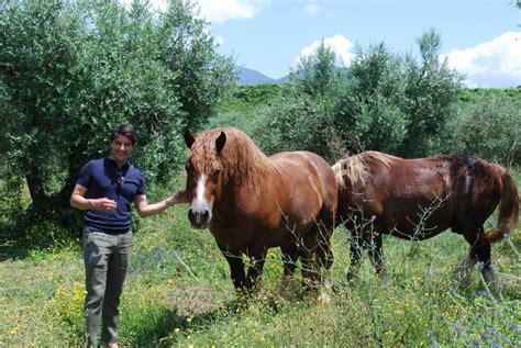 Carpineti Terrae Il Sogno Di Una Cantina Del Lazio Diventata Realt