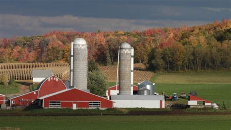 Dairy Doing More In Wisconsin (Photos & Link) | Cheeseheads: The Documentary