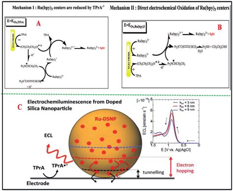 A B Ecl Reaction Mechanism Of Dsnp Tpra System Copyright