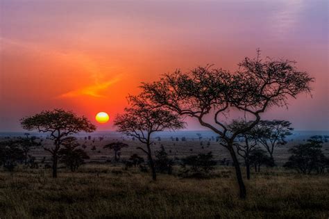 Africa Skies 3 Hawkins Photo Alchemy